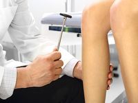 ORTHOPEDY
